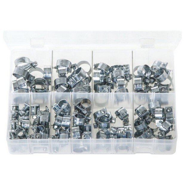 Assorted Box Mini Hose Clips – 100 Pieces