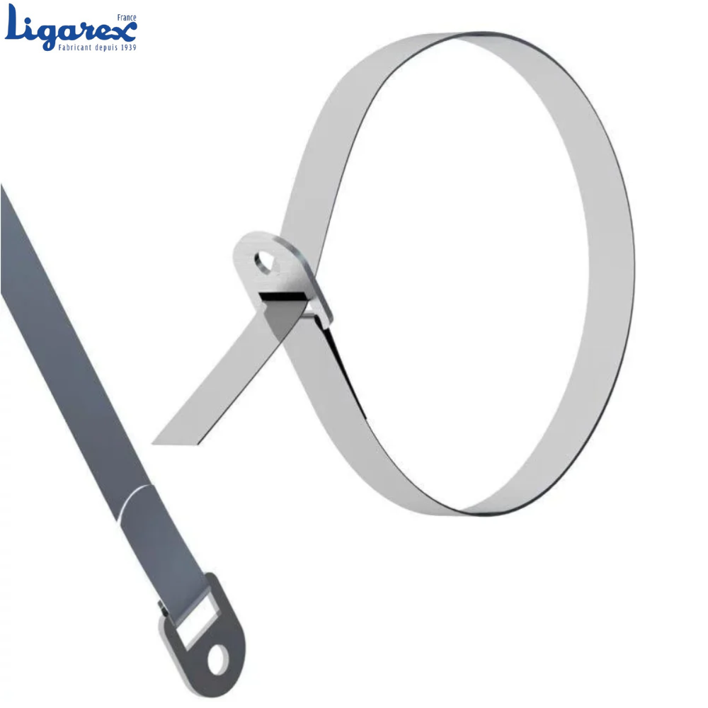 Ligarex Stainless Steel Strapping with Buckle Clip, 5mm x 150mm